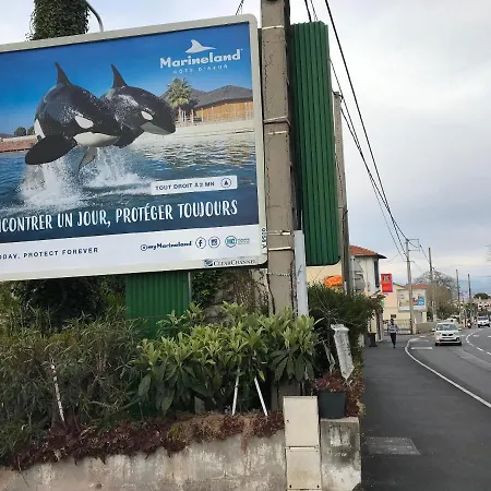 A Antibes, 33 M², Piscine Partagee